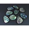 9Pcs Abalone Shell Fancy Cabochon Loose Natural Gemstone 305Cts. Lot 30-31MM C-1711