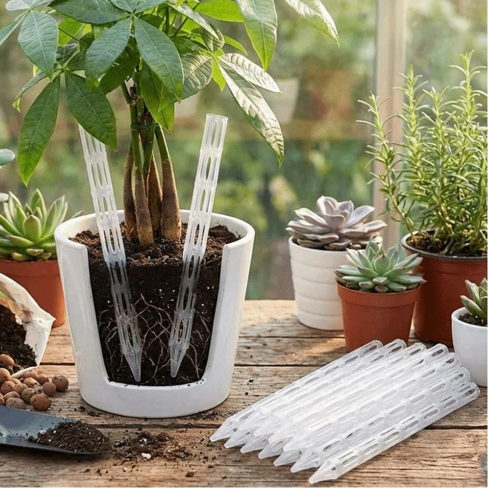 10PCS Plastic Plant Drainage Pipes Transparent Plant Root Ventilation Potted Plants