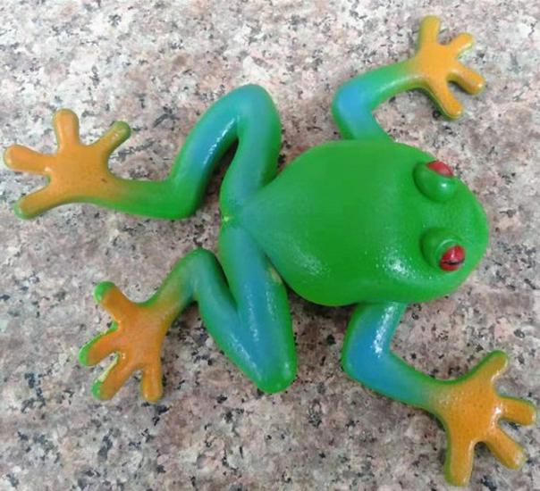 

Realistic Frog Toy with Beads – Durable, Squeezable, and Perfect for Teaching Aid зелёный