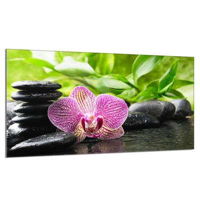 Placa de cristal protectora para vitrocerámica 90x52 Orquídea