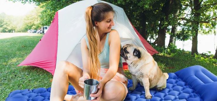 Double Mattress Mat Pillow Inflatable Tourist Large Strong