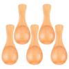 5Pcs Wood Mini Spoon Short  Handle Ice Cream Spoon Easy To Store Wooden Spoon  Kitchen