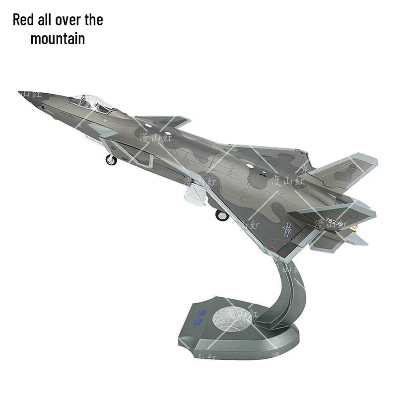J-20 Stealth Fighter Alloy Model 1:35 Scale