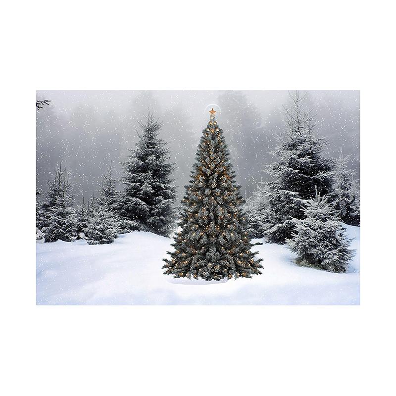 Winter Wonderland Themed Background,Christmas Photography Backdrop,for Parties and Holiday Photography Backdrops,Photo Studio