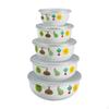 5 Enamel Bowls for Kitchen Use with Covers Food Prep