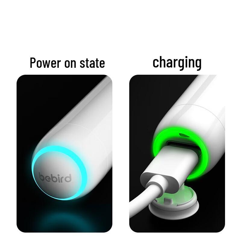 BEBIRD Visual Ear Cleaner with HD Endoscope