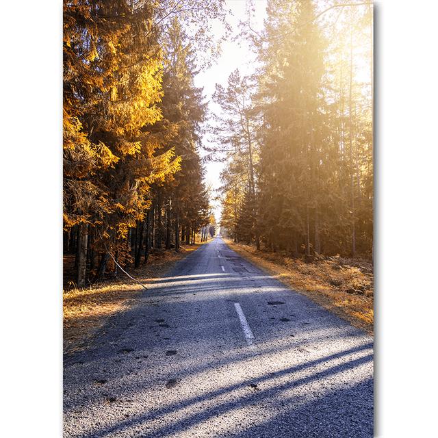 Vertical Board Beautiful Forest Scenery Modern Photo Painting Highway Winding Lines Wall Stickers HD Printing Art Decoration