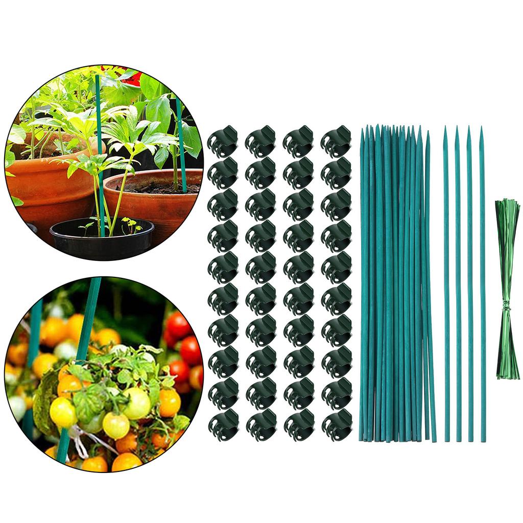Garden Plant Stakes With Clip Heavy Type Plastic Support Poles For Climbing Vine Flowers Regulable Length Outdoor Use