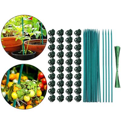 Garden Plant Stakes With Clip Heavy Type Plastic Support Poles For Climbing Vine Flowers Regulable Length Outdoor Use