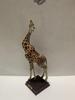 [USED] Nature Technicolor Reticulated Giraffe Savanna