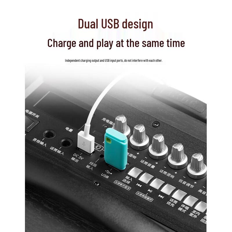 Edifier PW312 12-inch Outdoor Portable Speaker