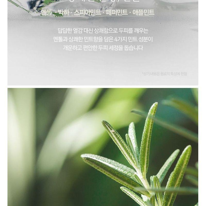 NARD - Scalp Cooling Shampoo