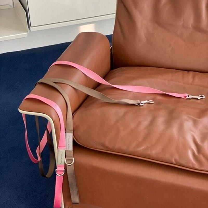 heart earth art 1.7m Leash Pink