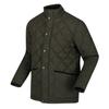 Regatta Gesteppte, isolierte Herrenjacke „Londyn“.