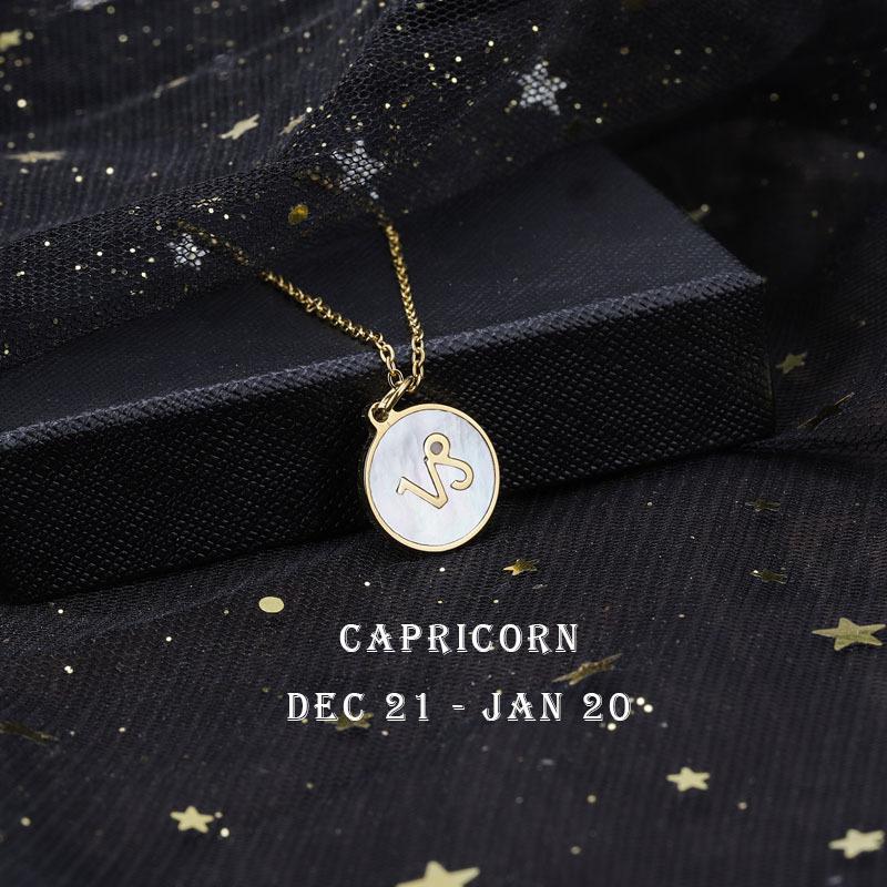 12 Constellation Symbol Titanium Steel Necklace Couple Necklace