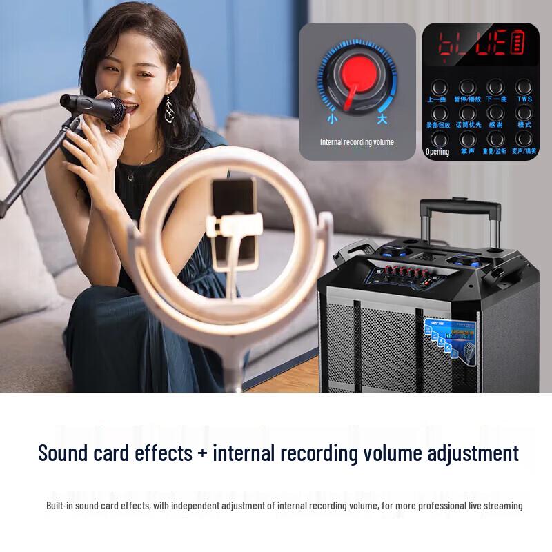 SAST 15-inch Portable Trolley Speaker with Bluetooth (CN Version)