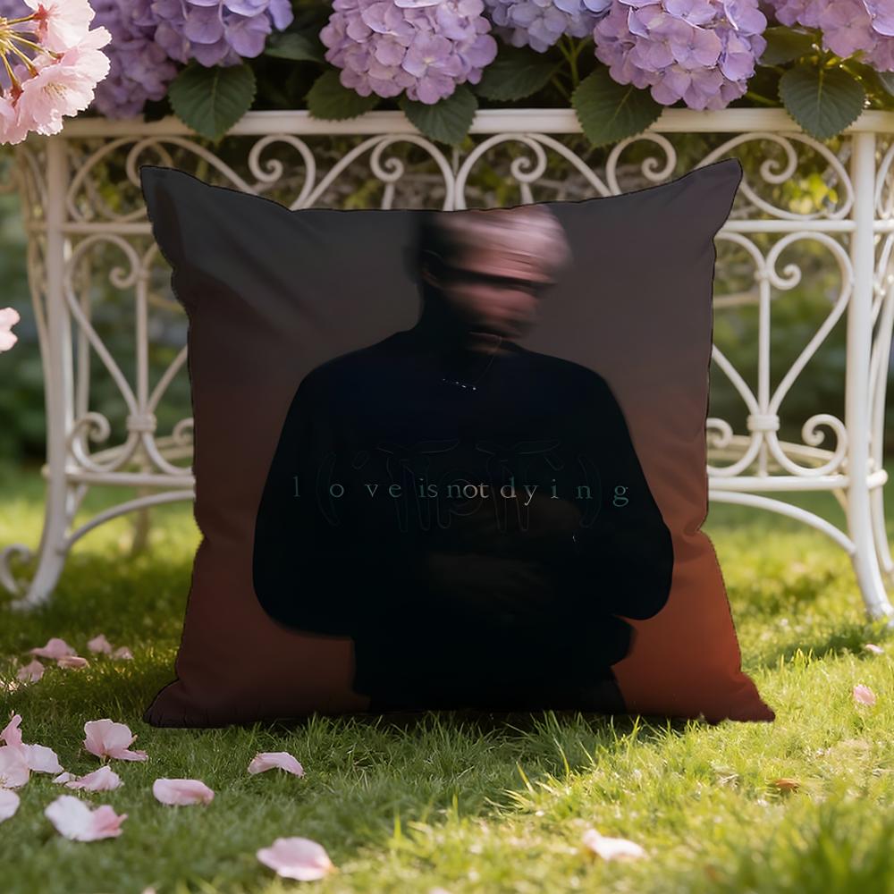 Jeremy singer Z-Zucker Cushion Cover Home & Car Dual-Scene Pillow Cover: Reversible for Premium Comfort