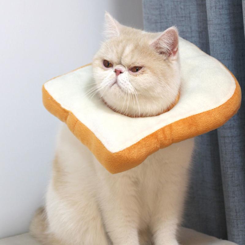 Collar Elizabethan Adjustable Pet Protection Antilicking Cover Cat Recovery Dog