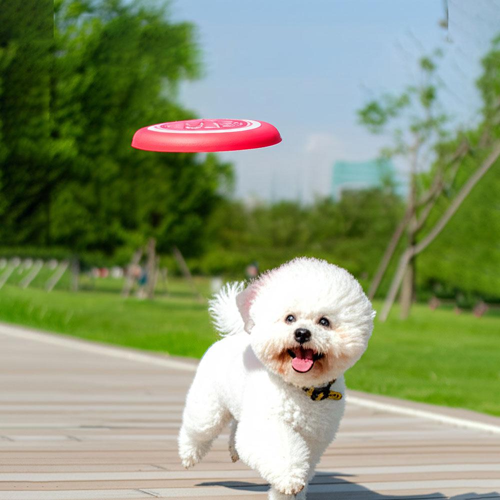 Pet Toy: Soft Bite-Resistant Fluorescent Training Disc, Dog Play Toy - Glow-in-Dark Flying Disc for Pet Training & Play