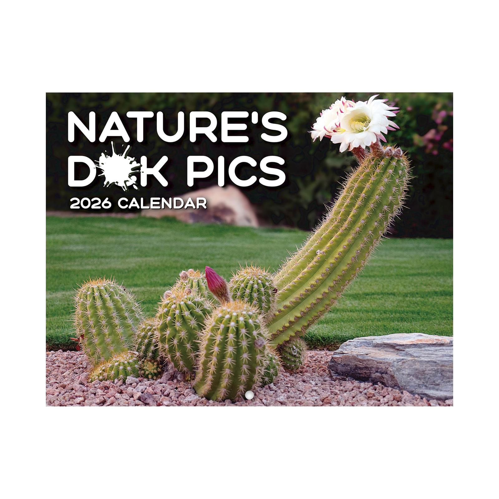 

Календарь, Календарь путешествий, Месячный календарь, Настенный календарь путешествий, Иллюстрированный двенадцатимесячный календарь, Подарок путешественнику, Украшение для стены One Size