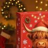 Highland Cow Advent Calendar 2025 with 24 Highland Cow Figurines Advent Countdown Calendar Christmas Gifts 2D acrylic