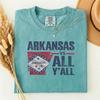 Comfort Colors Arkansas VS All Y'all Game Day Tee, Vintage Southern Pride Shirt