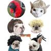 Giyim ve ayakkabı – Köpek Aksesuarları