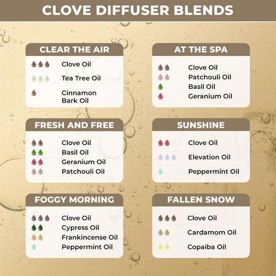 100% Plant Based Clove Oil for Massage, Diffuser & Aromatherapy - Pure and Organic Clove Essential Oil for Skin Care, Hair Care, Sore Muscles