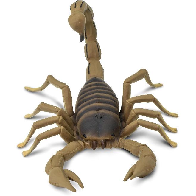 Safari Ltd. Scorpion Figurine - Realistic 7.5" Arachnid Figure - Educational Toy for Boys, Girls, and Kids Ages 3+
