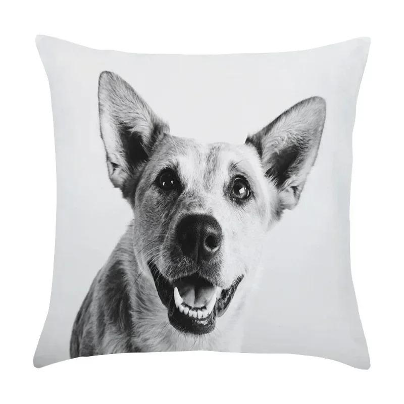 Cute Pet Puppy Black and White Art Photo Office Sofa Cushion Pillowcase