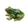Frog – görseldeki gibi