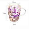 350ml Double Wall Glass Cup with Handle Dried Flower Decorated Coffee Milk Mug Heat Resistant Kitchen Supplies for Friend Gifts