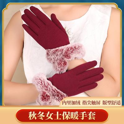 Warm Gloves Imitation Rabbit Fur Mouth Piled Thickened Cold-proof Outdoor Riding Non-inverted Velvet Women's Autumn and Winter Gloves