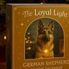 Christmas Advent Calendar German Shepherd Design 24-Day Countdown Decoration Multifunctional Holiday Decor