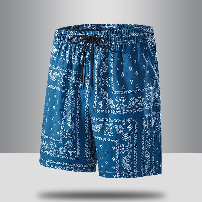 Vintage Graphic Beach Shorts for Men Summer Fashion 3D Printed Swim Trunks Loose Casual Thin Y2k Streetwear Hawaiian Short Pants