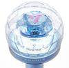 SEVENTEEN OFFICIAL LIGHT STICK Ver.3 – 10th Anniversary Edition