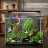 Plastic Betta Fish Rest Leaf Simulated Lotus Leaves/Artificial Leaf Suction Cup Betta Fish Play Relax Hide Leaf