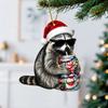 Funny Frog Santa Claus Christmas Tree Decoration, Double-Sided Printed Flat Animal Theme Holiday Party Ornament