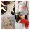 1 Meter Ostrich Feather Trim Trimming Natural Ostrich plumage Fringe Ribbon Lace for Wedding Party Dress Sewing Decoration plume