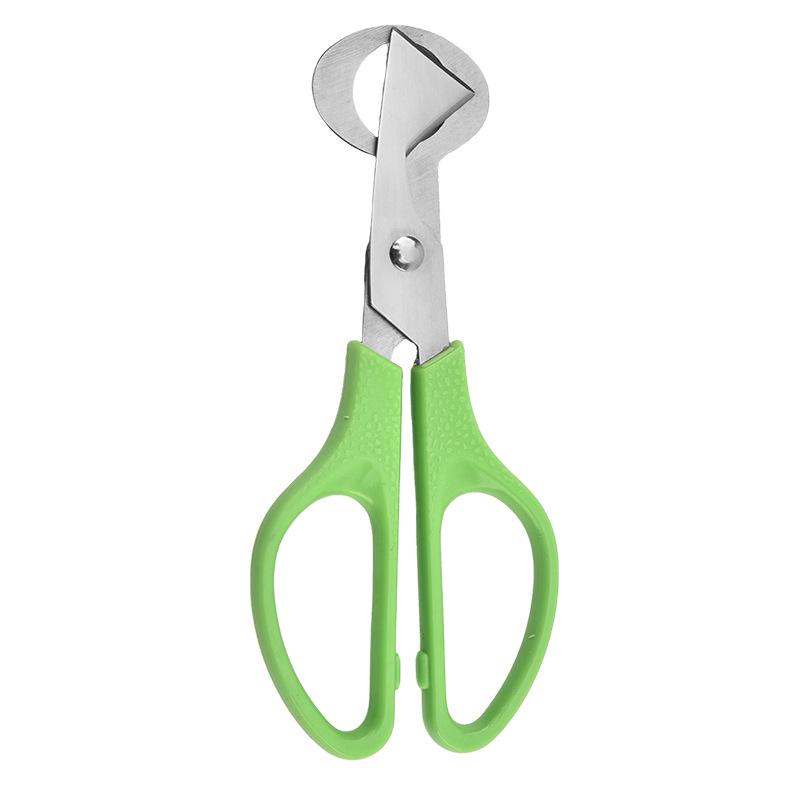 Stainless Steel Quail Egg Opener Scissors - Eggshell Cutter and Kitchen Shears