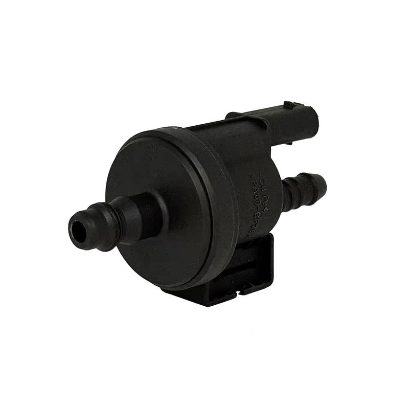 OYOTE 0280142498 AG9N-9C915-AA Car Vapor Canister Purge Solenoid Valve For Ford