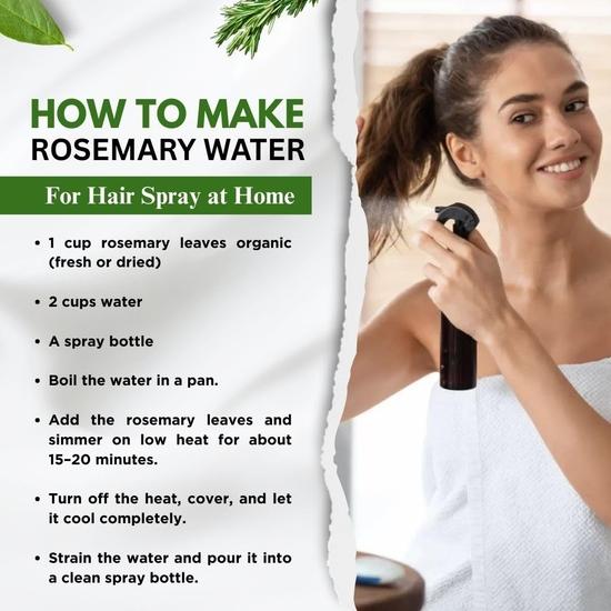 BrijBooti Rosemary Leaves for Hair Growth (100g) | FSSAI, GMP, ISO | Prepare Rosemary Water for Hair | Rosemary Leaves | Use for Seasoning