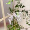 Stylish Bowknot Phone Lanyard Wrist Strap Star Butterfly Bow Phone Charm Antilost Cellphone Strap Hanging Rope Keychain