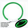 USB-C Rechargeable LED Dog Collar Glowing Pet Necklace Adjustable Waterproof Night Safety Collar