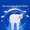 Lion Enzyme Expert Anti-Cavity Toothpaste