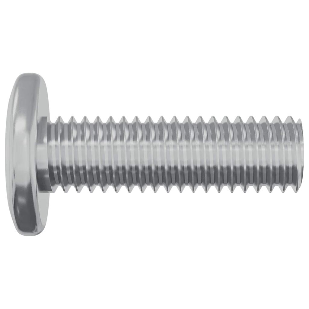 Screw 12 Pcs Silver 8 X 25 Mm Steel