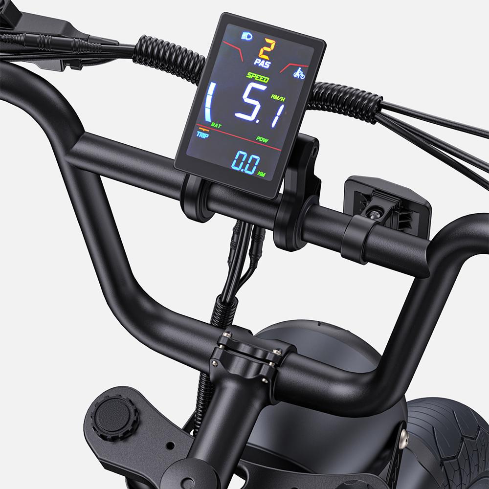 Electric Bike Adult ENGWE M1 20" 250W Motor Top Speed 25Km/h 48V 15.6AH Max Range 90Km Load 150Kg Black