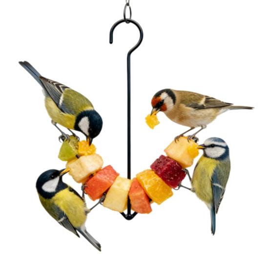 Oriole Bird Feeder Outdoor Hanging Orange Fruit Food Holder with Hook Weather-proof Outside Garden Metal Hummingbird Feeding Device