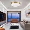 Gold Modern Minimalist Ultra-Thin Nordic LED Ceiling Light for Bedroom