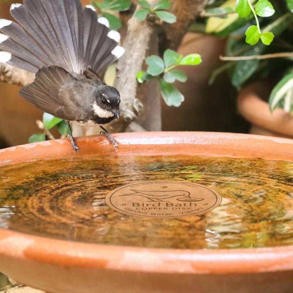 Triple-Point Support Bird Bath Copper Disk 0.8mm Thick Outdoor Birdbaths Bowl  for Garden Fountain